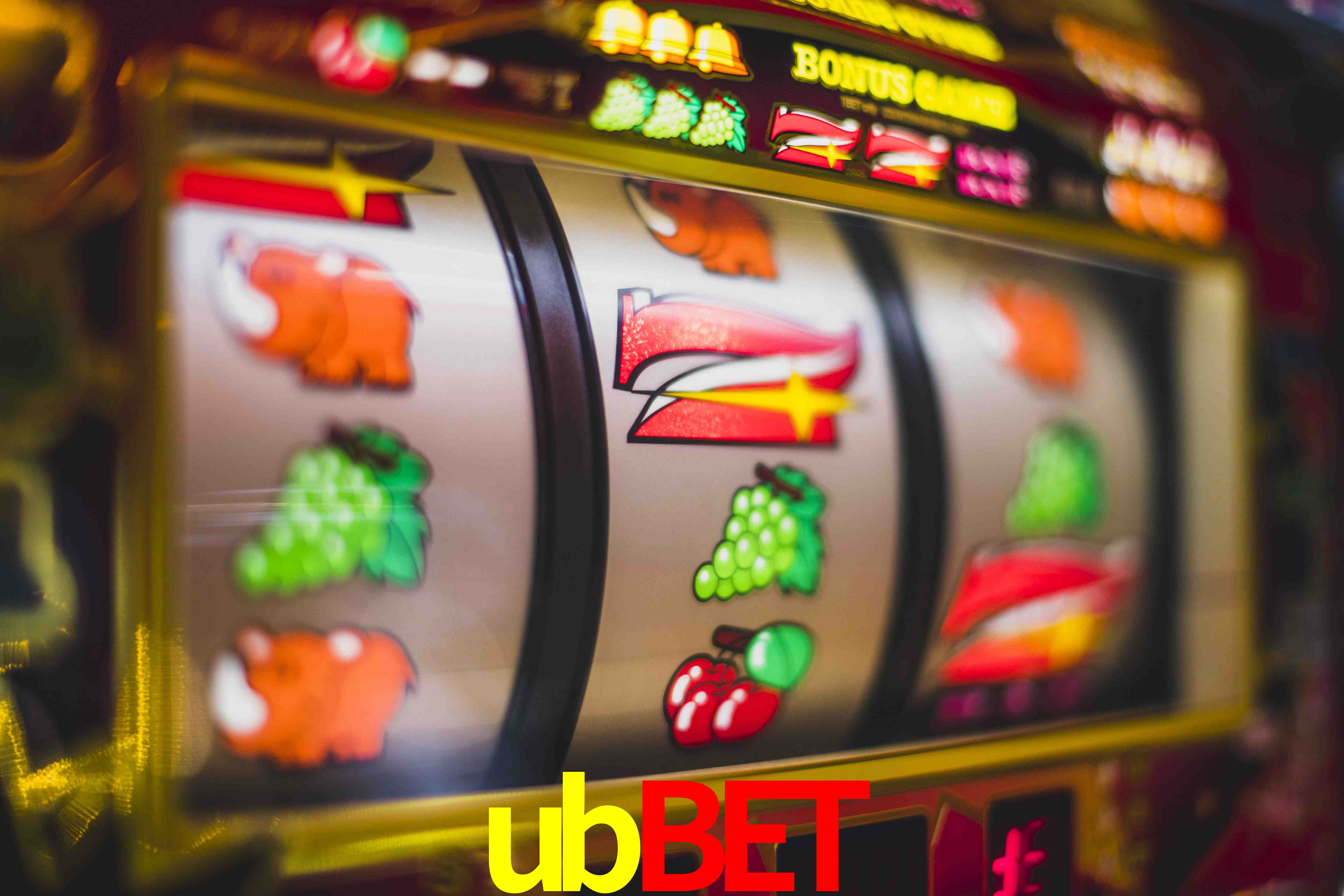 Experiência VIP ubbet